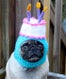 pugopener