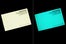 alexanderWang_R