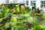 Amsterdam_droog_garden