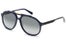 Moscot Carlos