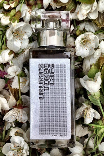 10 British Perfume Labels Changing The Scent Game