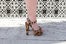 08 IMG_0232ed