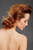 23_bhldn_140-bhdln