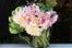 Realbotany