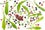 DandelionSmoothies_059_600x400