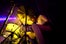vicefullfrontal0615