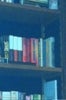 James Franco Bookshelf