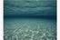 07_ArtCom_Underwater-View-Bill-Curtsingerslide