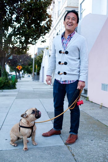 san francisco dogs