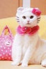 hello-kitty-cat