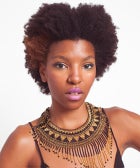 The Ultimate Guide To African-American Hair opener-new