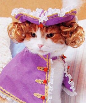 cats