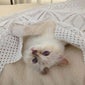 choupette-opener