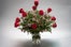 4-Gaffney_Roses-(2)