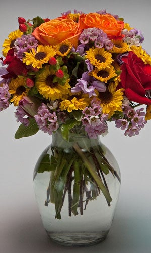 9-Gaffney_4FocalFlowers