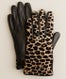 gloves-op