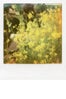 amber-mahoney-present-company-project-polaroid-documentary-photography-instant-film-impossible-project005