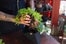24_PLANT_POKET_STEP_7