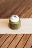 06_DeLise_GreenTea-4