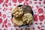 ONN-Cookies-web-res-photos-by-wiissa-088