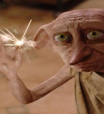 She stands up for the little guy with her quest to save the House elves. Katniss protects the weak too, but, c'mon: House elves.
Photo: Courtesy of Warner Bros.
dobby