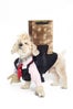 18_Blue_DoggieTrump_Bichon