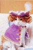 prince-cat