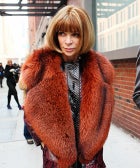 Is Wintour Really Coming? Anna May Be Headed For The White House anna-wintour