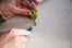diy gardening project