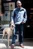 Cutest Shop Dogs In San Francisco Unionmade Buddy