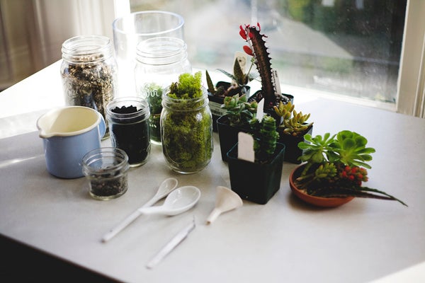 diy gardening project