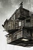 cabinwoods