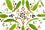 DandelionSmoothies01_600x400