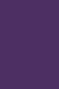 Eggplant---SW6559-Concord-Grape