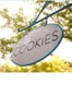 One Girl Cookies
