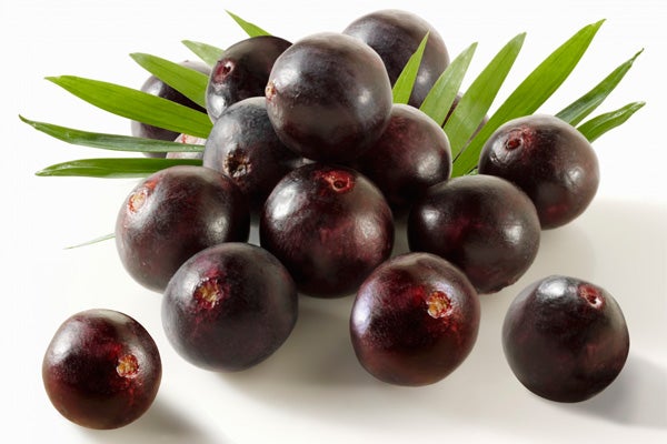 acai-embed