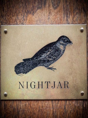 nightjar